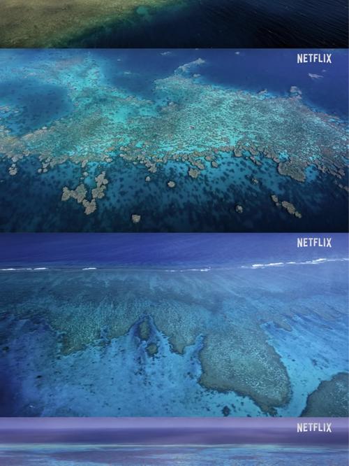 Coral Reefs Bleaching: A Comprehensive Overview