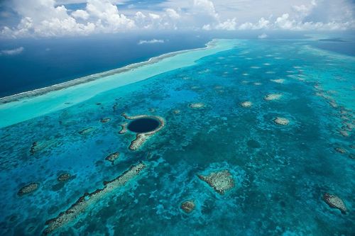 Belize Reef: A Diving Paradise Unveiled