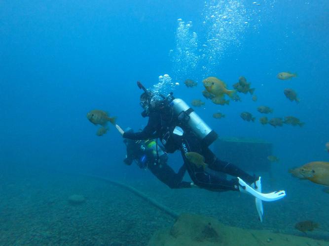 Scuba Diving Barrier Reef Australia: A Diver’s Paradise