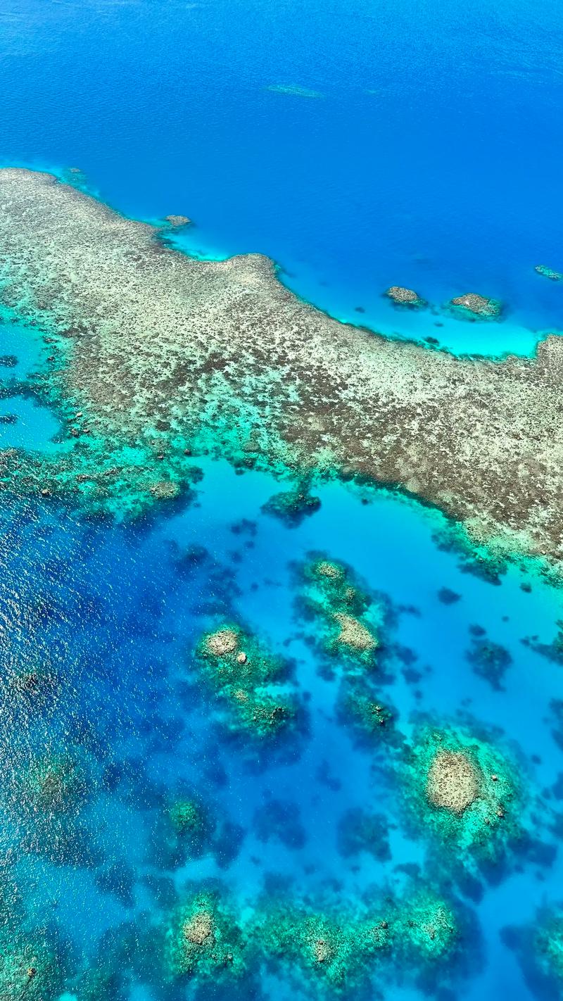 Great Barrier Reef Cairns Map: A Comprehensive Guide