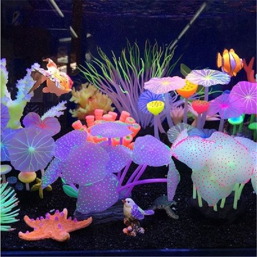 Saltwater Reef Aquariums for Sale: A Comprehensive Guide