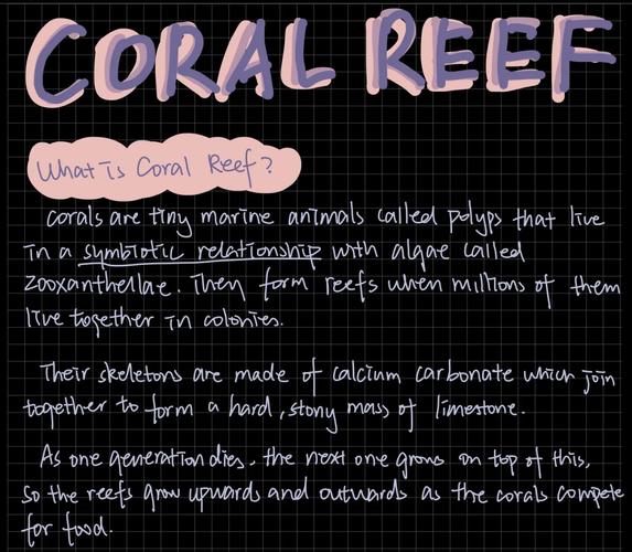 Origins of the Crossword Coral Reef