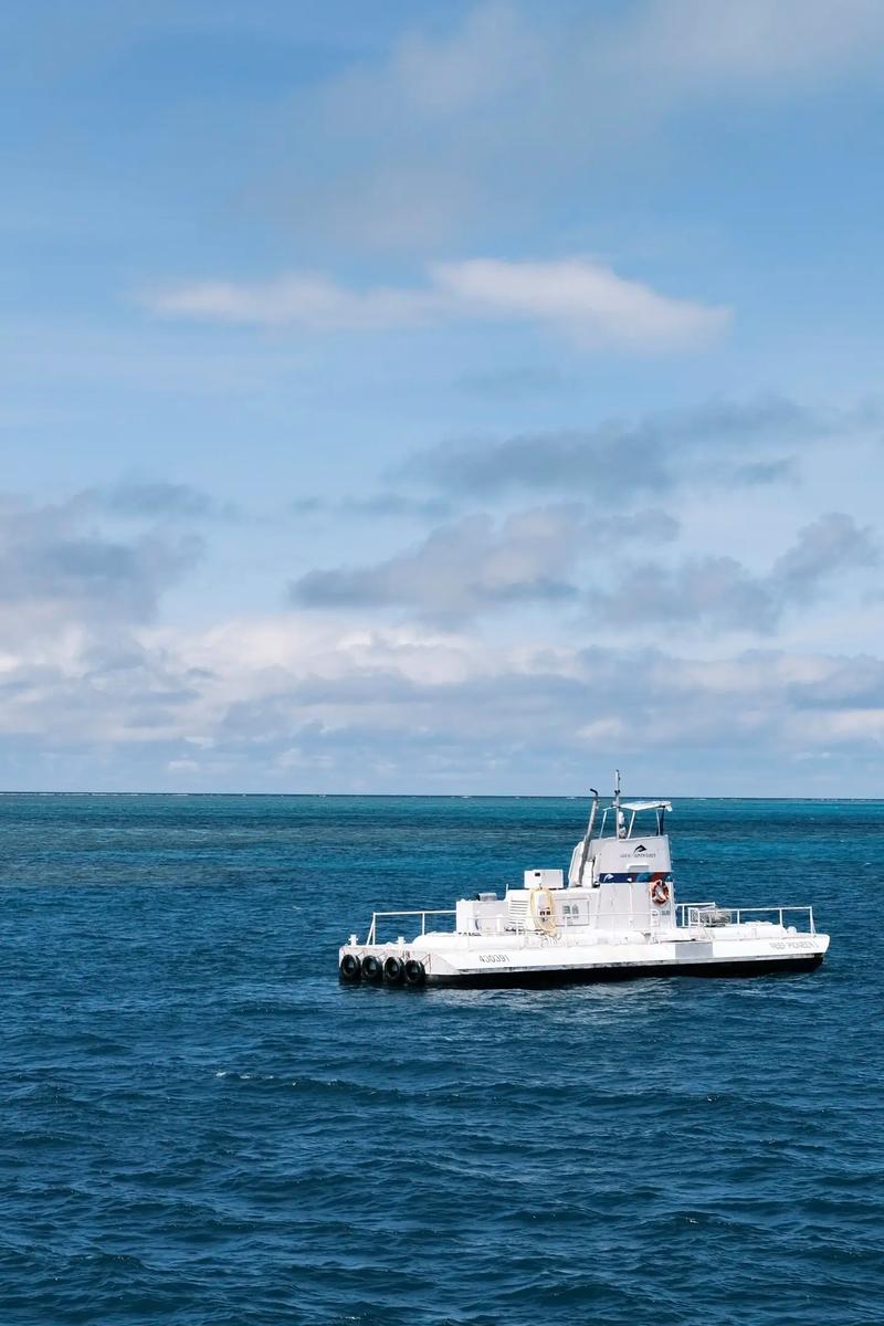 Barrier Reef Tours: A Comprehensive Guide for Diving Enthusiasts