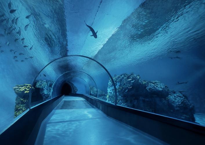 Shark Reef Aquarium Tickets: A Comprehensive Guide for Divers and Nature Lovers