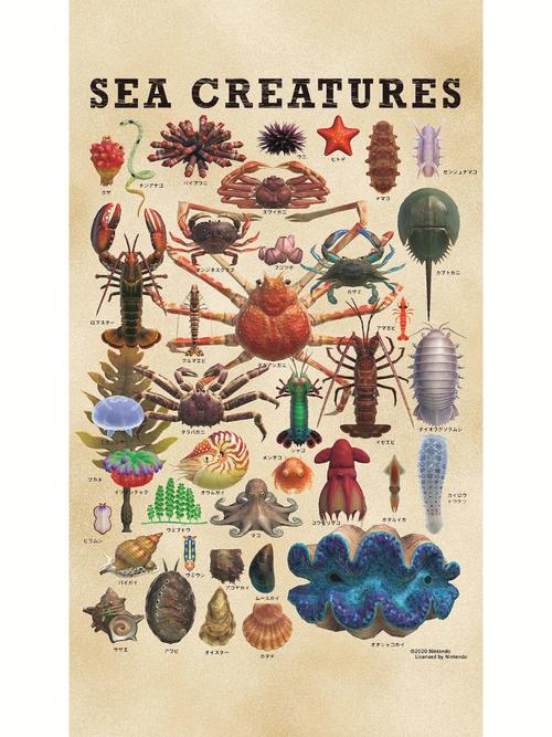 Home to Over 2,000 Sea Creatures