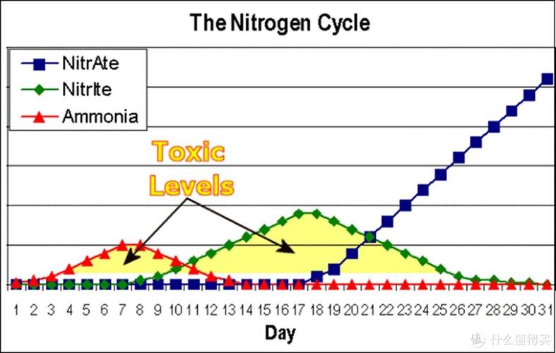 Reef Aquarium Nitrate Levels: A Comprehensive Guide