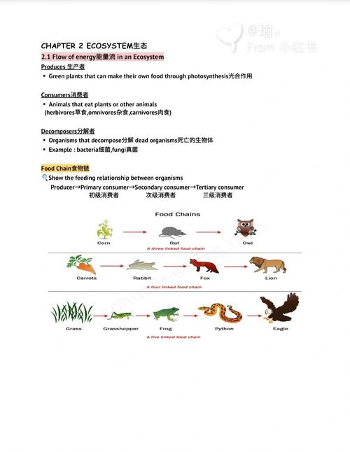 Decomposer in a Coral Reef Ecosystem