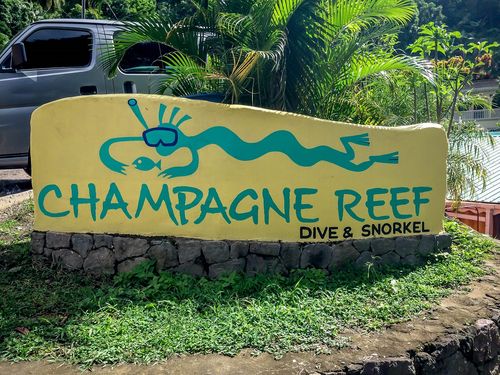 Champagne Reef Dominica: A Dive into the Underwater Paradise