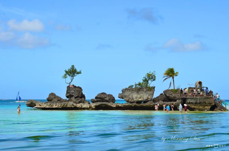 Rock Reef: A Diverse and Thriving Underwater Ecosystem