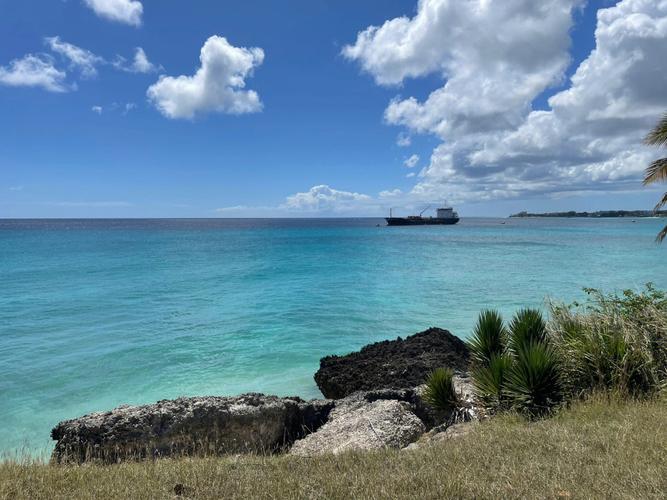 Coral Reef Barbados: A Diving Paradise Unveiled