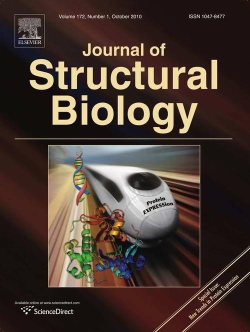 Dinoflagellates in Reef: A Detailed Multidimensional Introduction