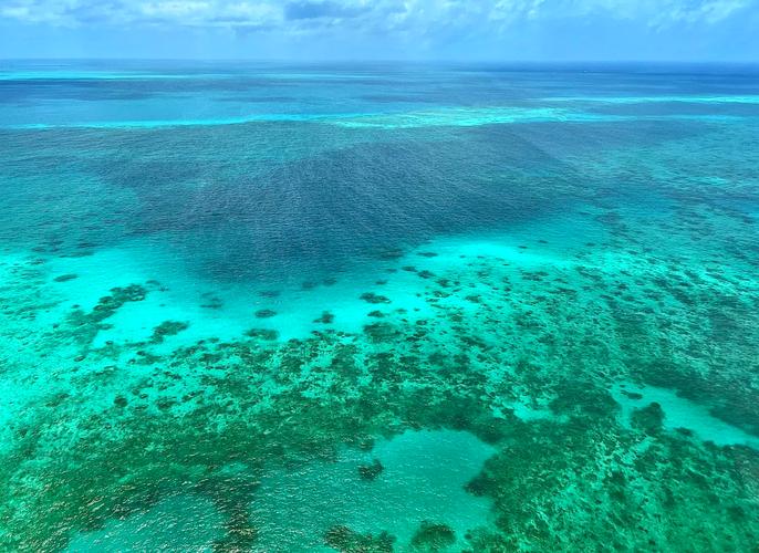 What Are Some Attractions of the Great Barrier Reef?