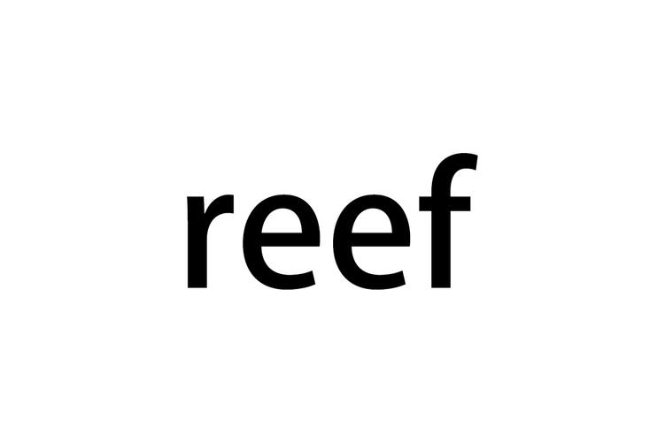 Reef Nutrition: A Comprehensive Guide