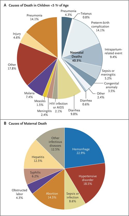 Coral Reef Dead: A Comprehensive Overview