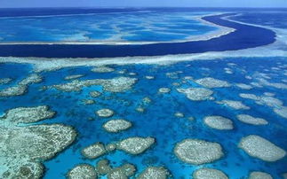 great barrier reef,The Great Barrier Reef: A Diverse and Majestic Wonder of the Ocean