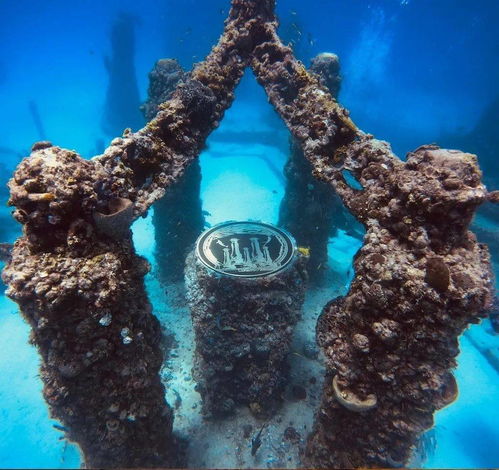 neptune memorial reef,Neptune Memorial Reef: A Unique Underwater Experience