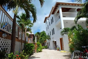 caye reef hotel belize,Caye Reef Hotel Belize: A Paradise Awaits Your Discovery