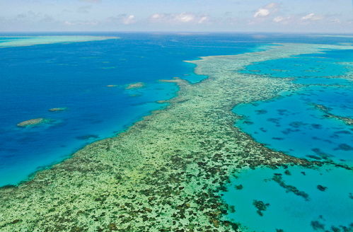 great barrier reef coral reef,Great Barrier Reef Coral Reef: A Diverse and Vital Ecosystem