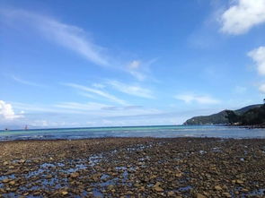 coastal waters of great barrier reefs,Coastal Waters of the Great Barrier Reef: A Diverse and Thriving Ecosystem