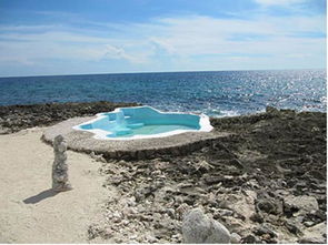 reef on the water,Reef on the Water: A Dive into the Underwater Paradise