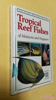 tropical coral reef fish,Tropical Coral Reef Fish: A Diverse and Vibrant World Below the Surface