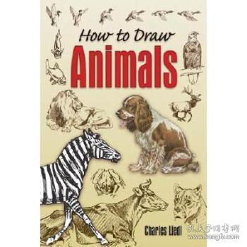 how to draw coral reef animals,How to Draw Coral Reef Animals