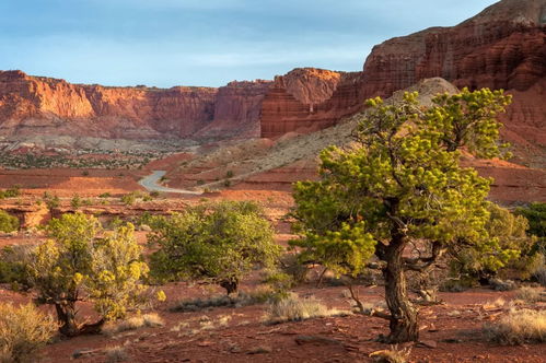 weather capitol reef utah,Weather Capitol Reef Utah: A Comprehensive Guide