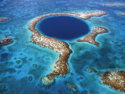 belize coral reef,Belize Coral Reef: A Diving Paradise Unveiled