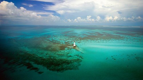 alligator reef florida,Discovering Alligator Reef, Florida: A Dive into the Underwater Wonders