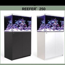 red sea reefer 250,Red Sea Reefer 250: A Comprehensive Overview