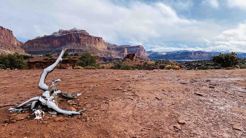 capitol reef to bryce canyon,Capitol Reef to Bryce Canyon: A Scenic Journey Through Southern Utah’s Natural Wonders