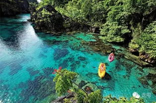 garrafon natural reef park,Garrafon Natural Reef Park: A Dive into the Underwater Paradise