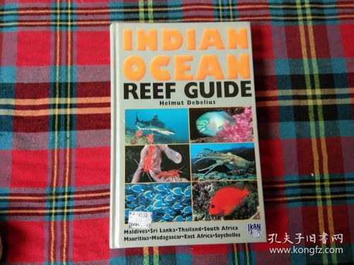 reef ocean,Understanding the Reef Ocean