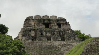 jaguar reef belize,Jaguar Reef Belize: A Dive into the Underwater Paradise