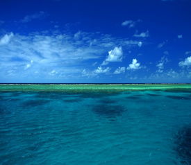 belize barrier reef snorkeling,Belize Barrier Reef Snorkeling: A Diving into Paradise Experience