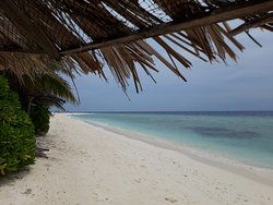 coral reef library,Coral Reef Library: A Treasure Trove of Marine Knowledge