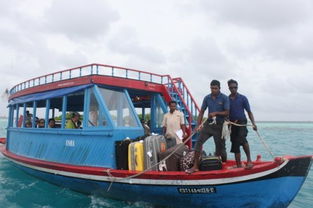 reef addicts girl,Reef Addicts Girl: A Dive into the World of Scuba Diving Enthusiasts