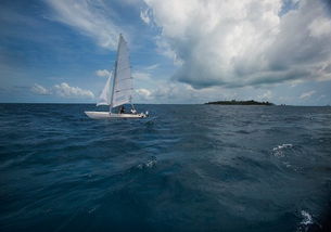 taj coral reef maldives,Accommodation