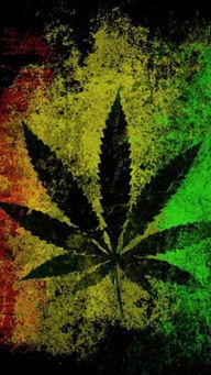 reefer weed,Reefer Weed: A Comprehensive Guide