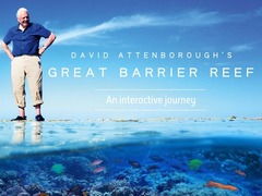 david attenborough great barrier reef,Location and Size