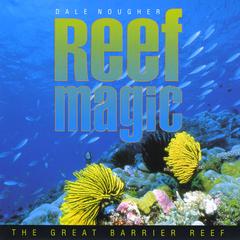 reef magic cairns,Reef Magic Cairns: A Dive into the Underwater Wonders