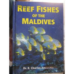 reef fish of florida,Reef Fish of Florida: A Diverse and Thriving Marine Ecosystem