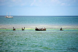 230 key west bay reef,230 Key West Bay Reef: A Dive into the Underwater Paradise