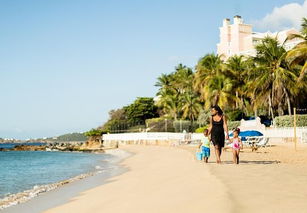 marriott frenchman’s reef st thomas,Location and Surroundings