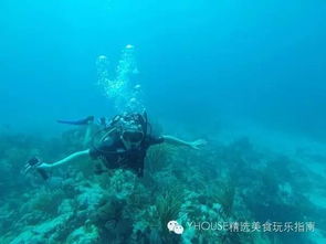 buck island reef national monument st croix,Buck Island Reef National Monument St. Croix: A Dive into Nature’s Wonders