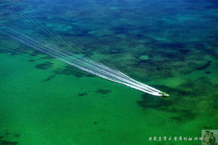 caye reef caye caulker belize,Caye Reef Caye Caulker Belize: A Detailed Multidimensional Introduction