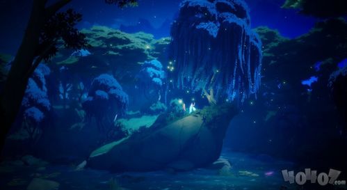 wild reef,Understanding Wild Reef: A Comprehensive Guide