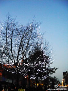 outdoor christmas reefs,Outdoor Christmas Reefs: A Festive and Eco-Friendly Tradition