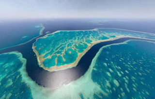 the great barrier reef,The Great Barrier Reef: A Diverse and Majestic Wonder of the Ocean