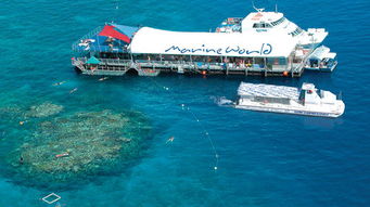 cairns australia reef tours,Cairns Australia Reef Tours: A Comprehensive Guide